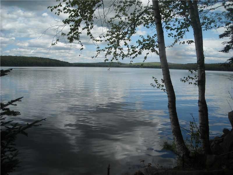 View. Great Moose Lake