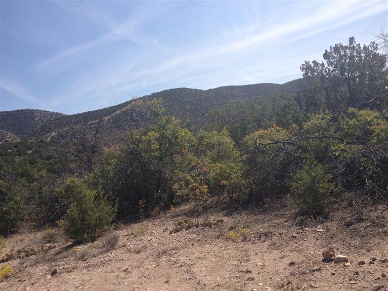 12 Camino Don Juan, Placitas, NM 87043 - photo 1