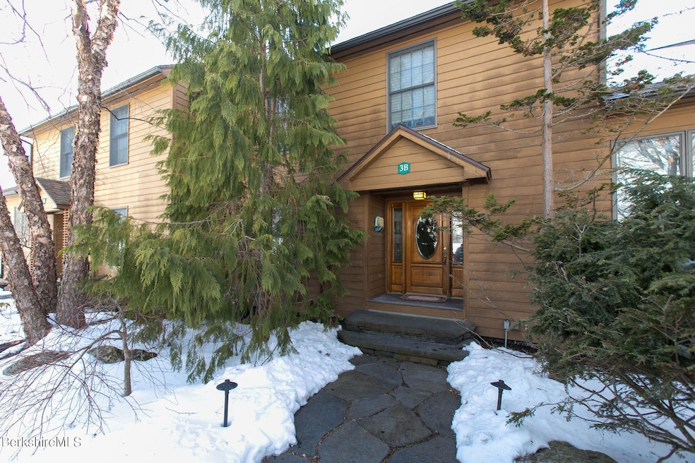 200 Old Stockbridge Rd unit 3-B, Stockbridge, MA 01262 - photo 1