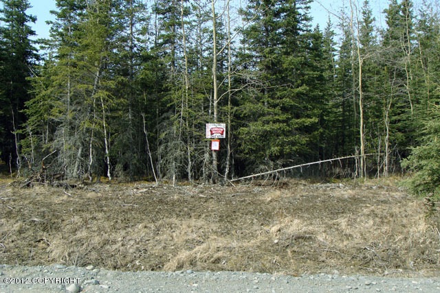 Lot 10 Ridge Street