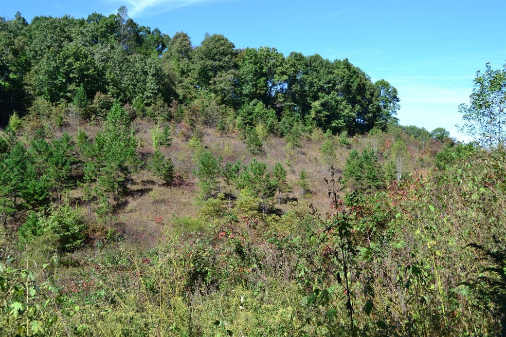 70 Maulden Branch Rd, Elias, KY 40486 - photo 1