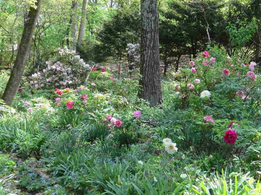 TBD Windsor Rd, Harrisonburg, VA 22801 - photo 1