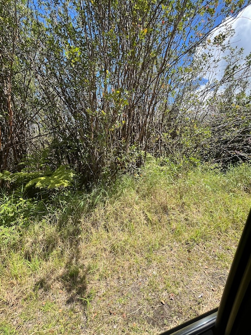 0 Holana St, Mountain View, HI 96771 - photo 1