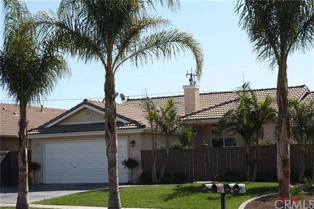 Curbside view, large mature palms