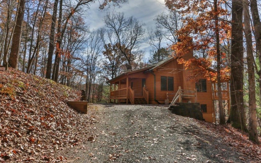 Main View
