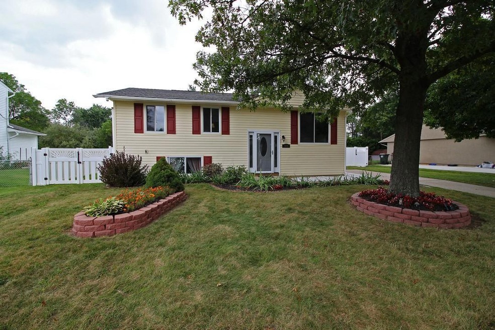 326 Dunchurch Drive (4)