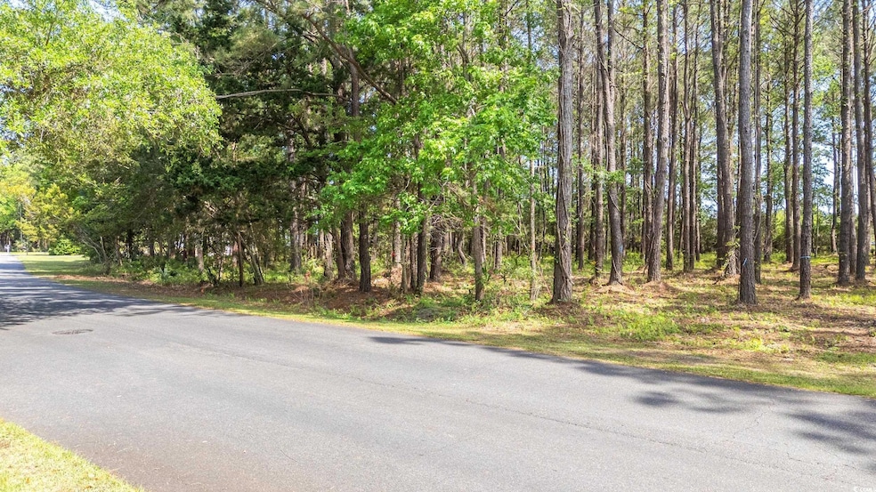 View of road featuring a view of trees