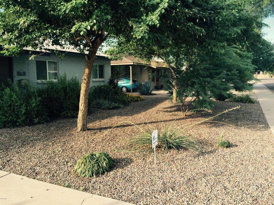 Front Yard