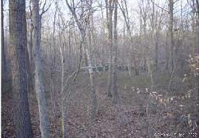 206 Flanders Rd unit lot 1, Stonington, CT 06378 - photo 1