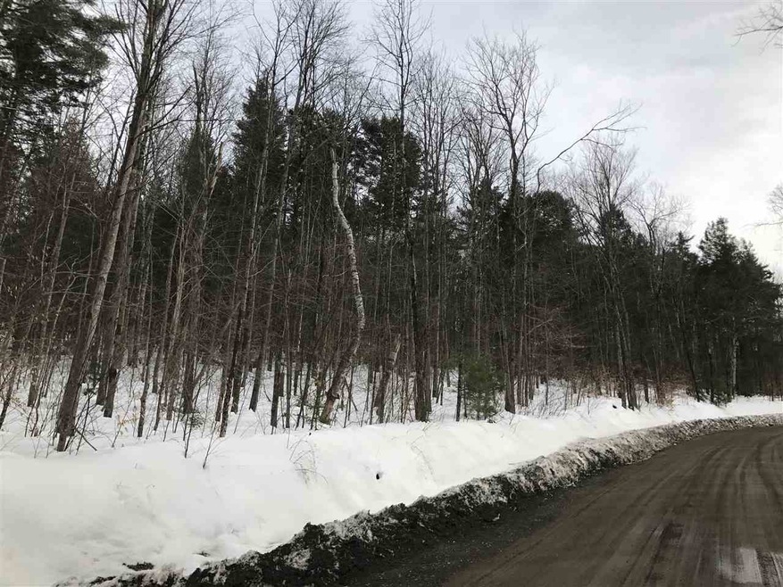 2510 Deer Park Rd, West Halifax, VT 05358 - photo 1