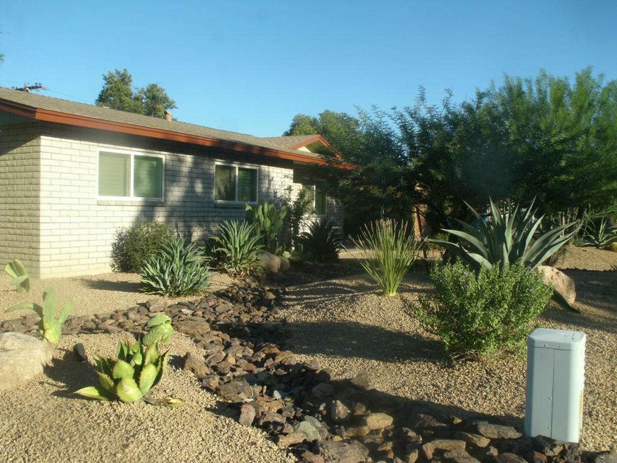 Desert Landscaping