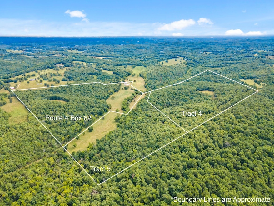 59-web-or-mls-DJI_0038