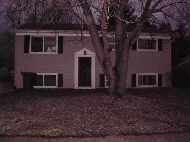 Primary Photo