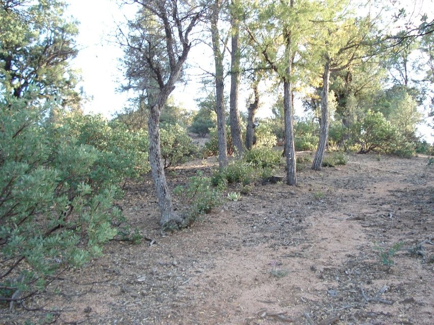 DSC00020