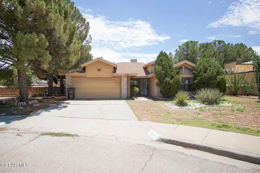 424 Cutler Place, Horizon City, TX 79928 - photo 1