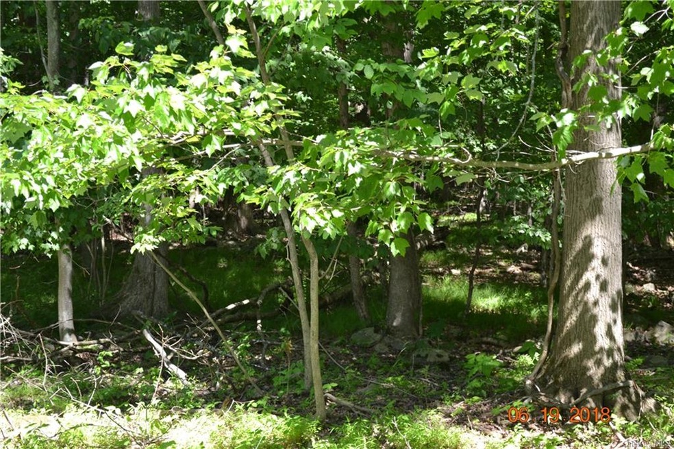 0 Shore Dr unit H6161325, South Bloomng Grv, NY 10914 - photo 1