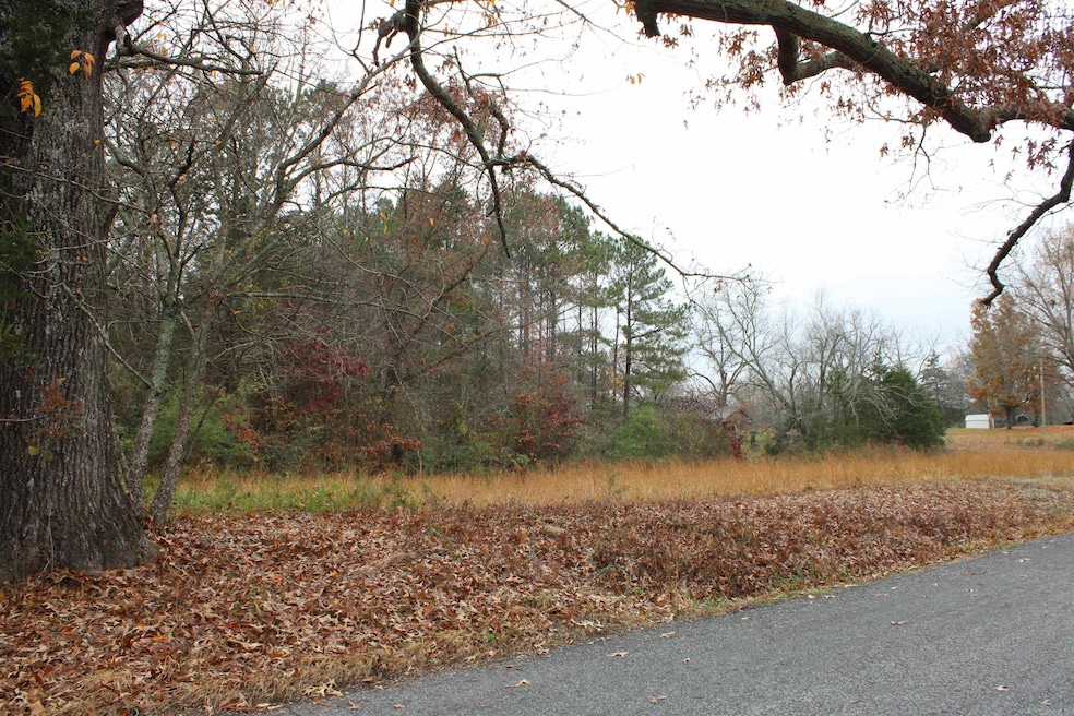 1790 Miller Point Rd S, Quitman, AR 72131 - photo 1