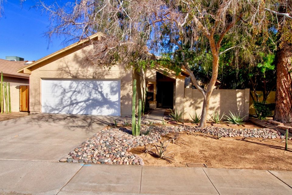 Yucca Front view 2