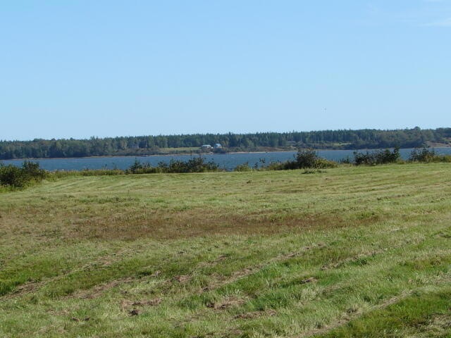 DSC00278