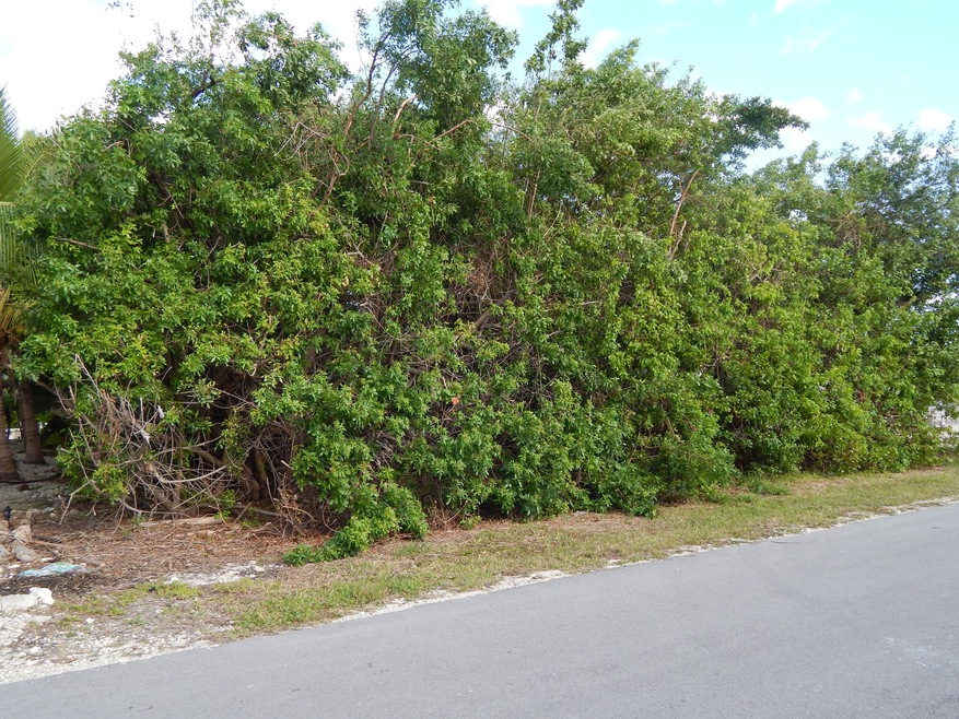 Front of Lot