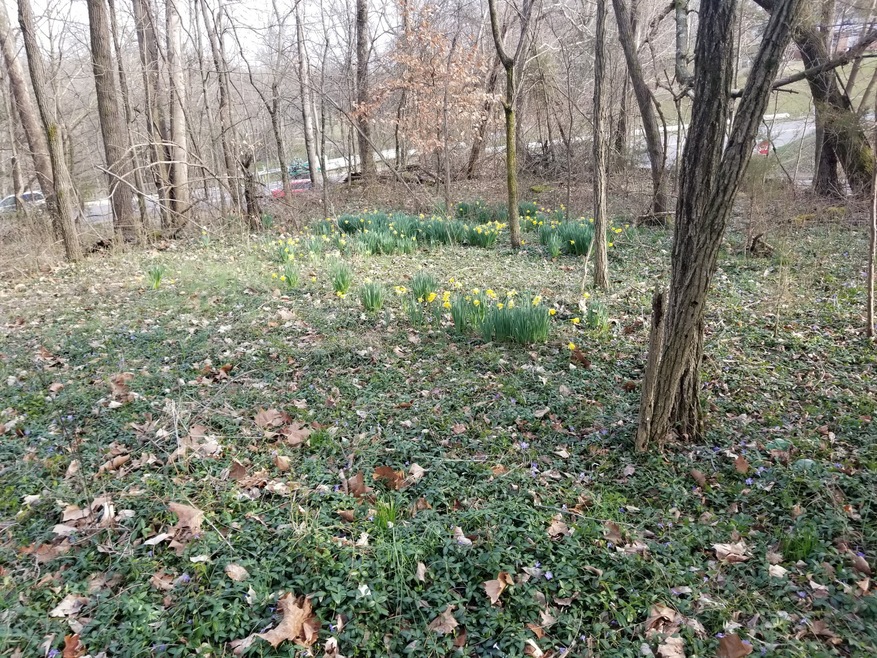 0 Orr St unit 2124531, Manchester, TN 37355 - photo 1