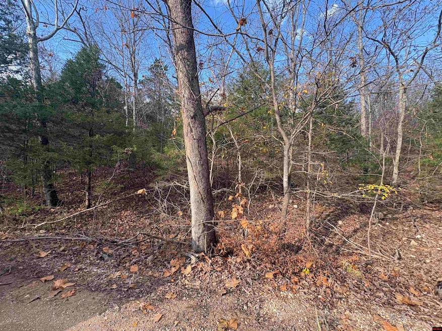 001-03671-002 Crystal Oaks Trail, Gamaliel, AR 72537 - photo 1