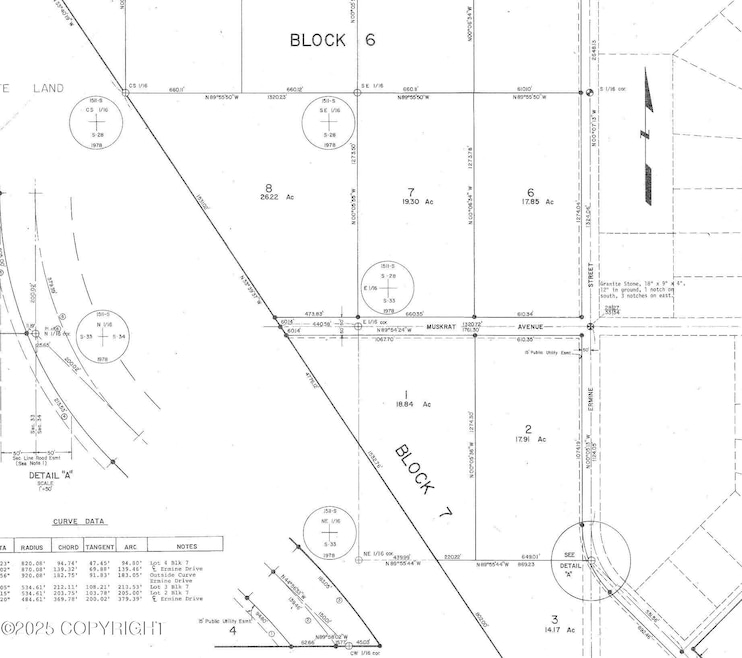 L8 B6 Muskrat Ave, Copper Center, AK 99573 - photo 1
