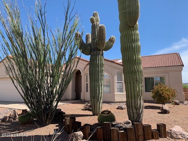 Front desert plantings