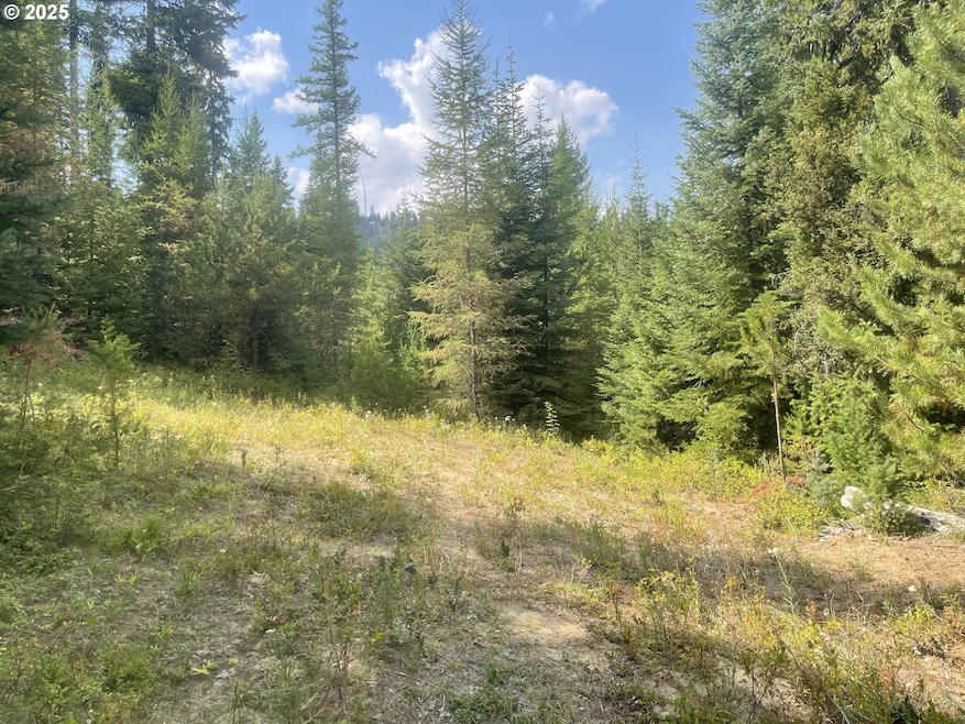0 Mountain Property unit 357954927, Heppner, OR 97836 - photo 1