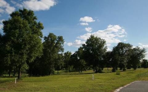 LOT21 Mandiba Dr, Lake City, FL 32024 - photo 1
