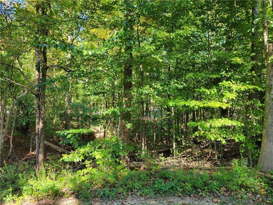 1086 E Mohican Trail, Fugit Township, IN 47240 - photo 1