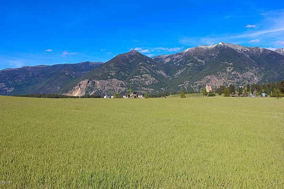 NHN Blackmer Ln, Columbia Falls, MT 59912 - photo 1