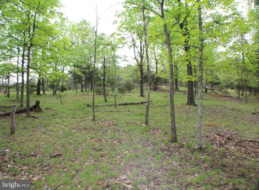 8.05 Acres Morgantown Rd, Maysville, WV 26833 - photo 1