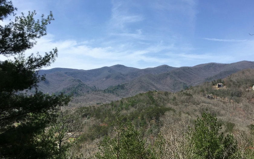 Main View