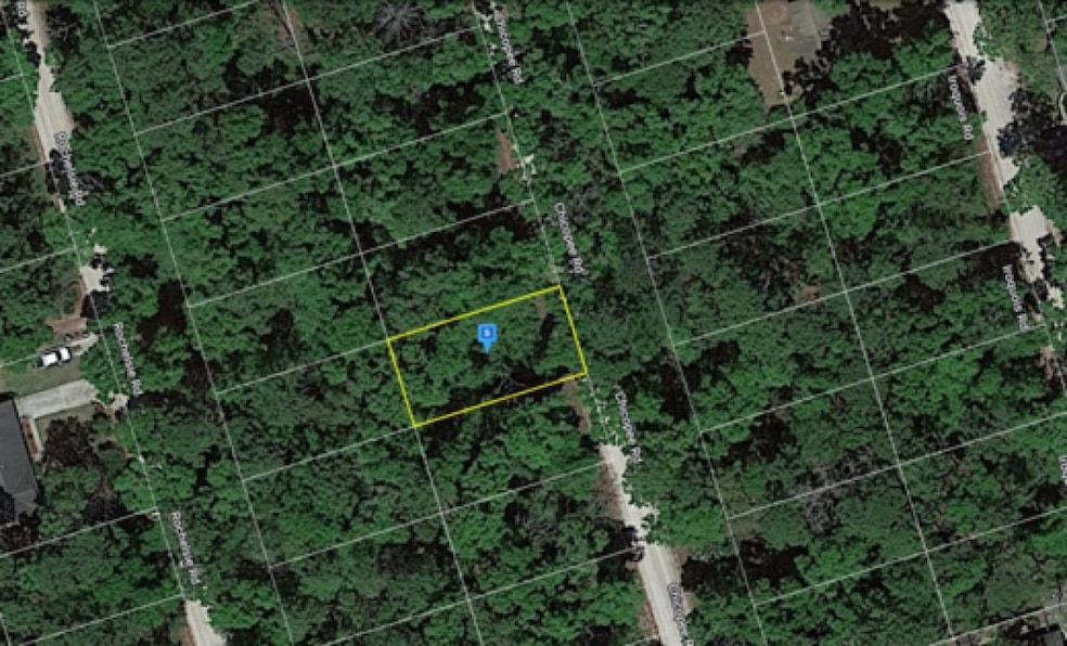 0 Chicopee Rd unit 373122, Crawfordville, FL 32327 - photo 1