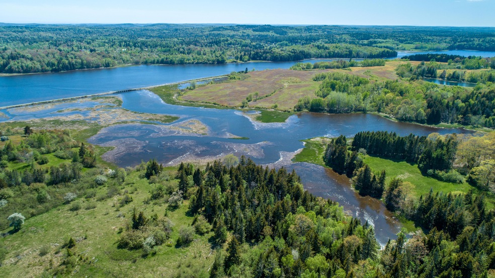 2019 June 7 East Machias 7 acre lot-7