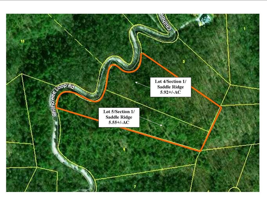 2225 Chilhowee Loop Road