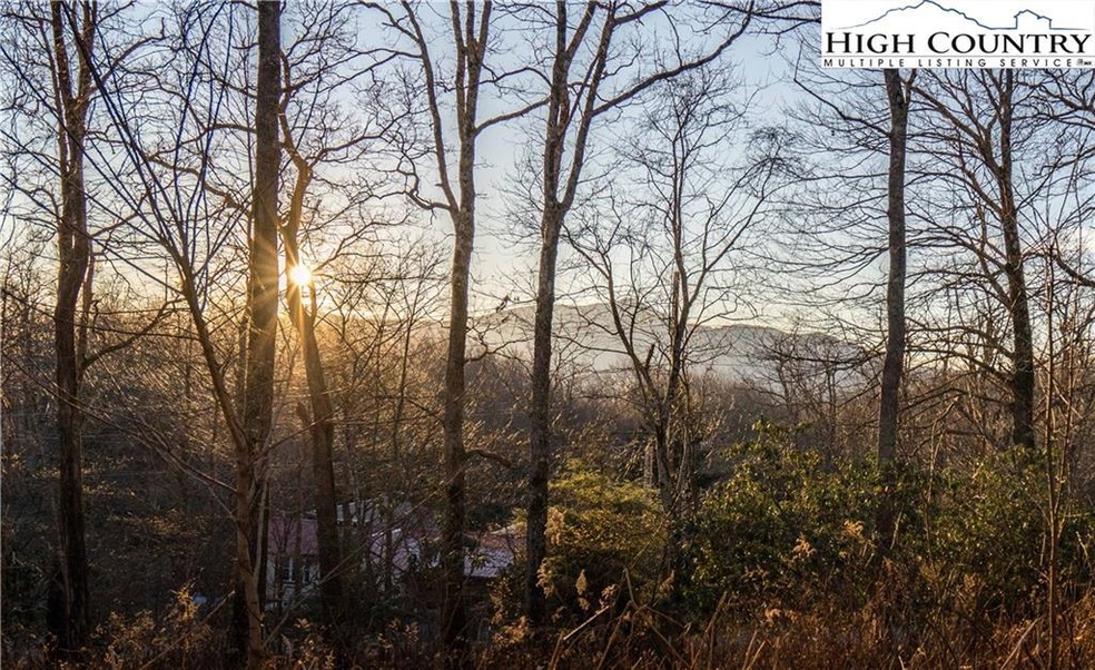 Lot 28 Yonahlossee Trail, Blowing Rock, NC 28605 - photo 1