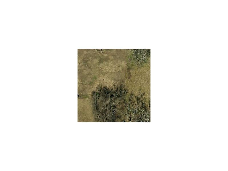 Land/Lot.