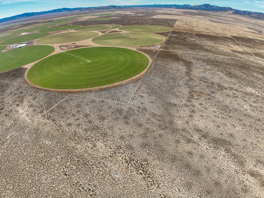 DJI_0041