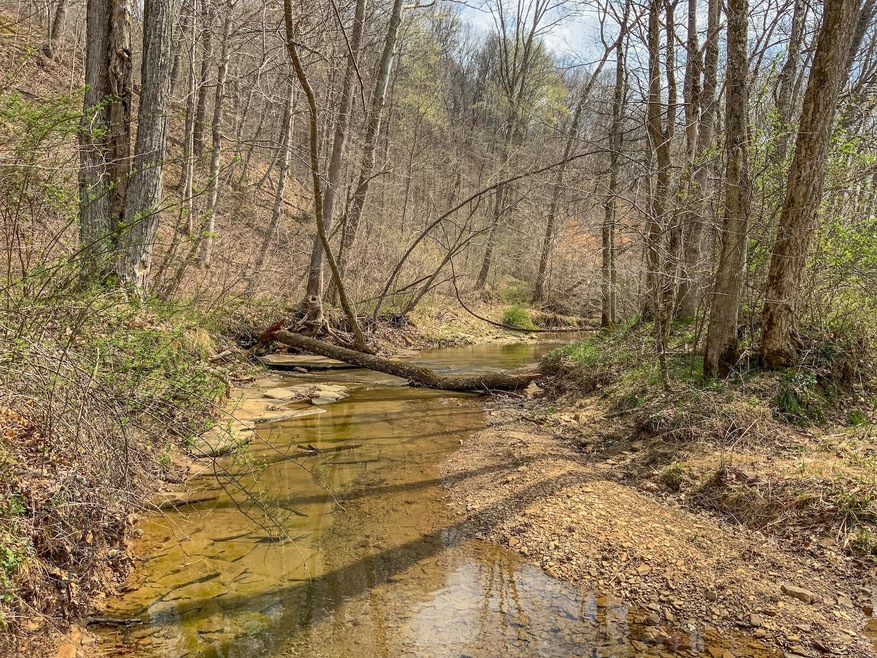 Goose Creek 60 Main Photo