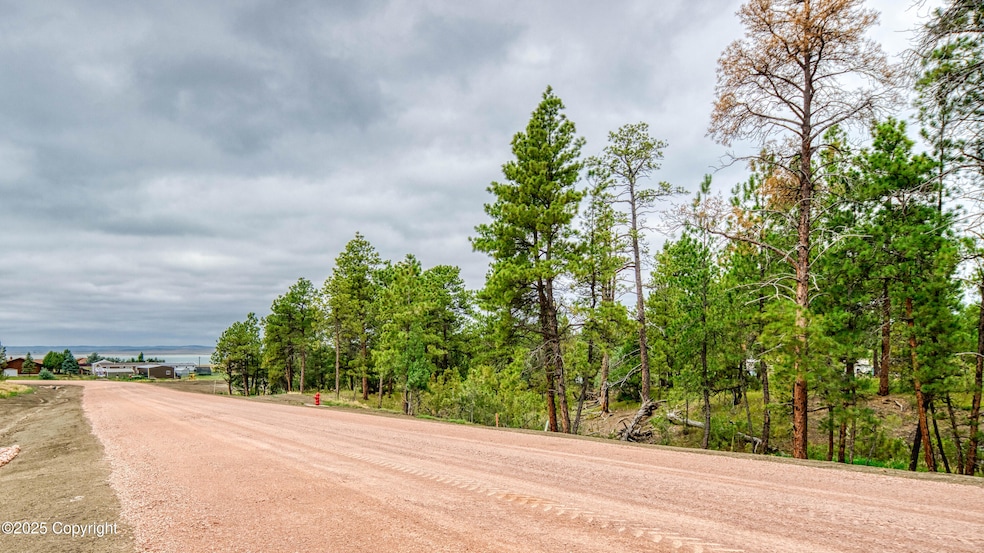 C Bar Estates July 2025 - Lot 12-1