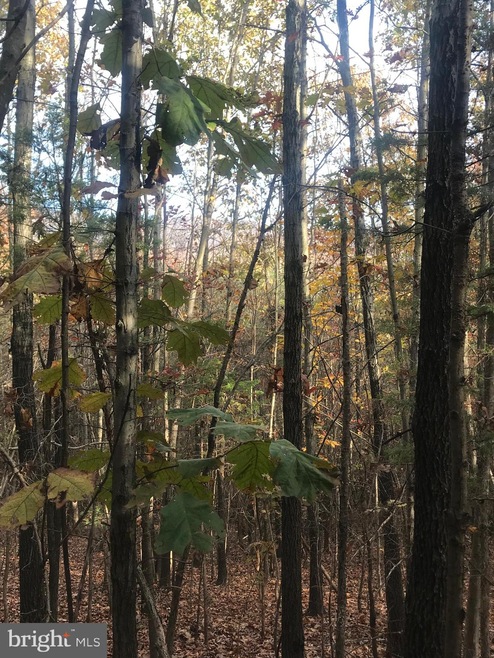 0 Herdman Hill Rd, 3, Marksville, VA 22835 - photo 1