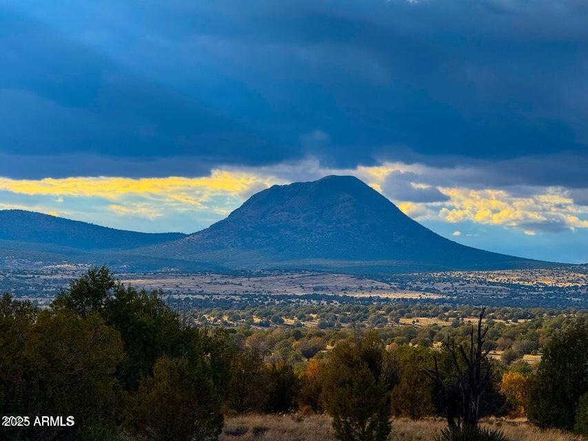 20250617194844431694000000-o