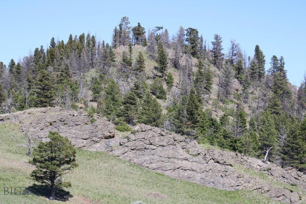 View of nature