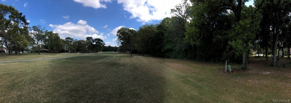 689 E Jenkins Ct, Hernando, FL 34442 - photo 1