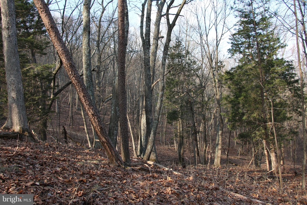 0 Greystone Dr unit VAWR142706, Front Royal, VA 22630 - photo 1