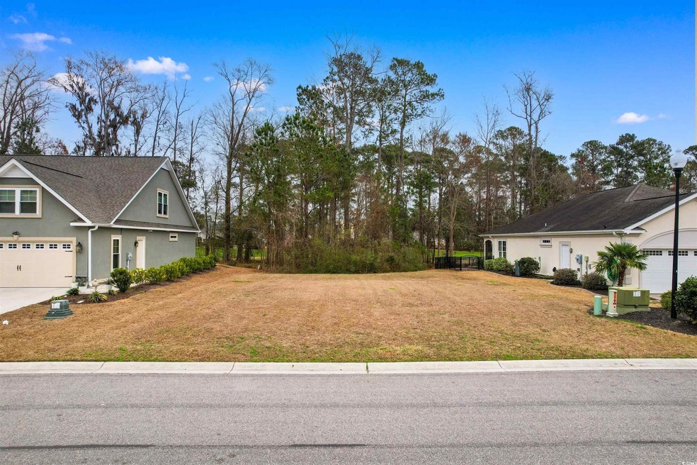 View of yard with a garage