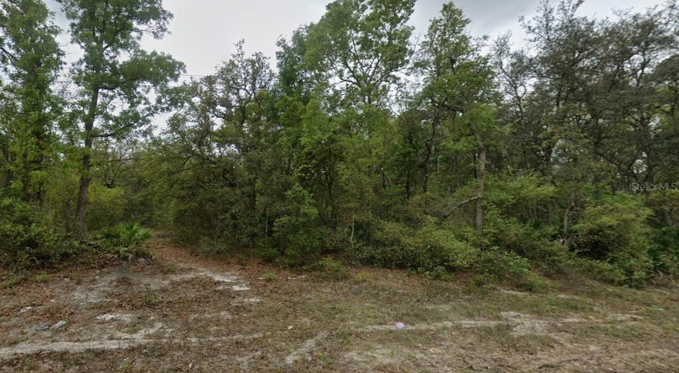0 Highline Trail, Satsuma, FL 32189 - photo 1