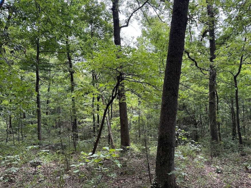 Tract 3 4 unit Terrapin Road, Harrison, AR 72601 - photo 1